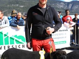 2019_ausstellung polling_285